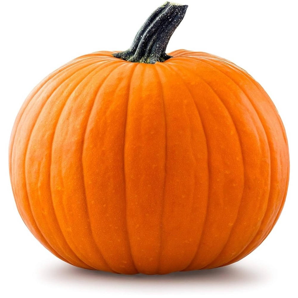 Pumpkin Seeds